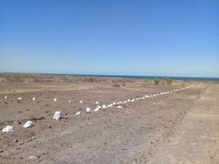 OPORTUNIDAD...VENTA DE TERRENO EN SAN FELIPE A ORILLA DE PLAYA!!!