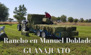"VENTA  RANCHO "en Manuel Doblado 15 Hectáreas casa, tierra de cultivo y corrales