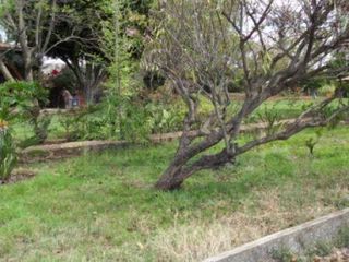 Terreno en Renta, Morelia, Michoacán de Ocampo