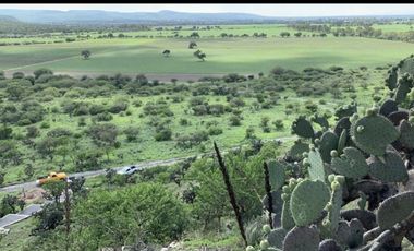 RANCHO AGRICOLA EN VENTA EN GUANAJUATO/ESTANCIA SAN ANTONIO