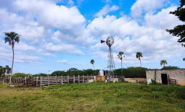 TIZIMIN, RANCHO GANADERO EN VENTA, TIZIMIN- DZONOT, YUCATÁN