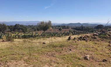 TERRENO EXCELENTE UBICACIÓN PARA CABAÑAS O CASA DE CAMPO