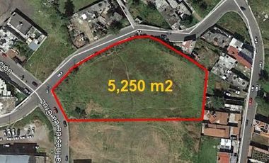 TERRENO VENTA ALMOLOYA DE JUAREZ (CENTRO)