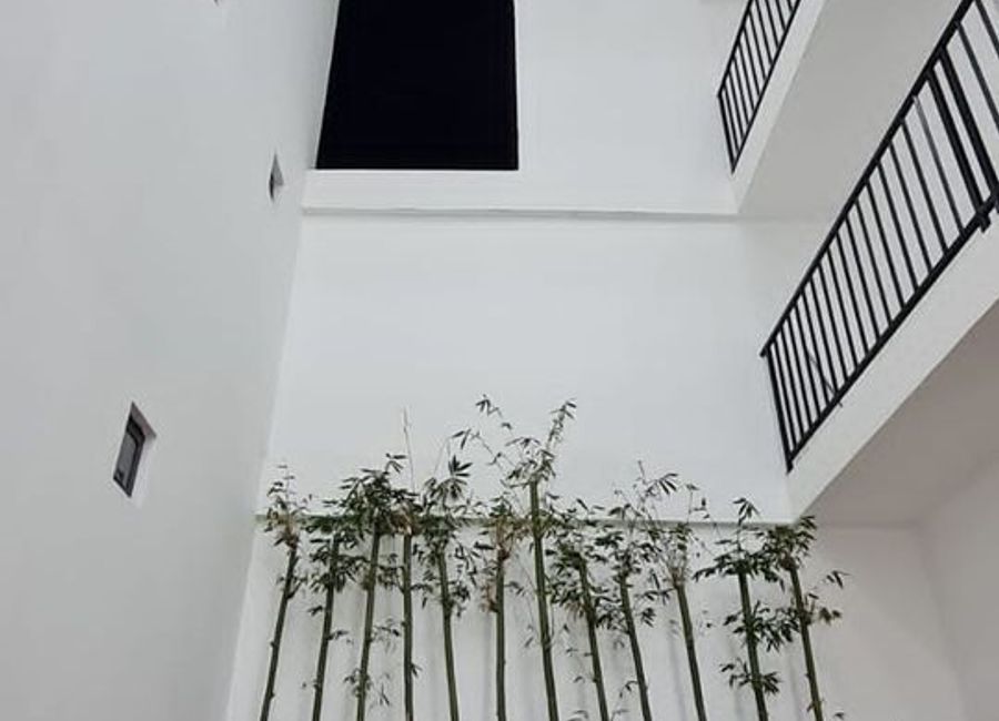 place photo 35