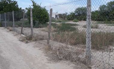 Terreno en Venta, Torreón, Coahuila de Zaragoza