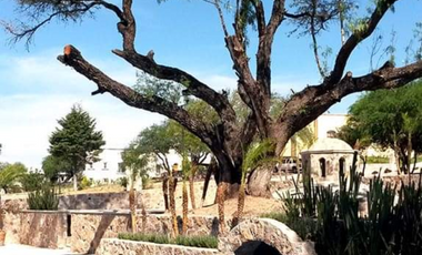 VENTA TERRENO HACIENDA LA PRESITA , SAN MIGUEL DE ALLENDE