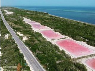 Terreno con 50 m frente al Mar en Yucatán