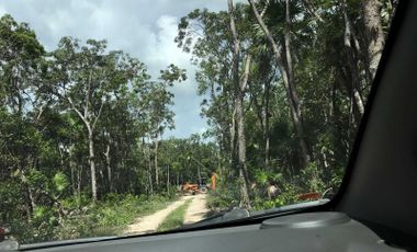 Terreno en Venta, Tulum  Qroo.  UN desarrollo Ubicado en el Corazon de caribe Mexicano