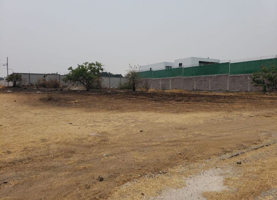 place photo 27