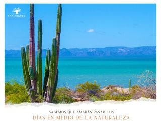 TERRENOS CON PLAYA EXCLUSIVA FRENTE A LA ISLA DEL TIBURON. San Miguel by Dos Palmas