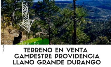 VENTA DE TERRENO EN SIERRA DE DURANGO PROVIDENCIA