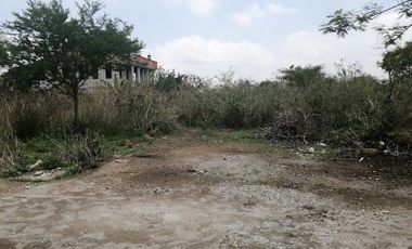 TERRENO EN VENTA EN YAUTEPEC, MORELOS.