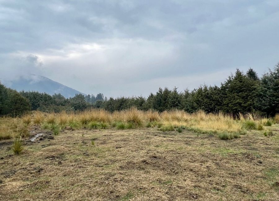 Terreno en Venta a pie de Carretera Circuito Ajusco, Santo Tomás Ajusco