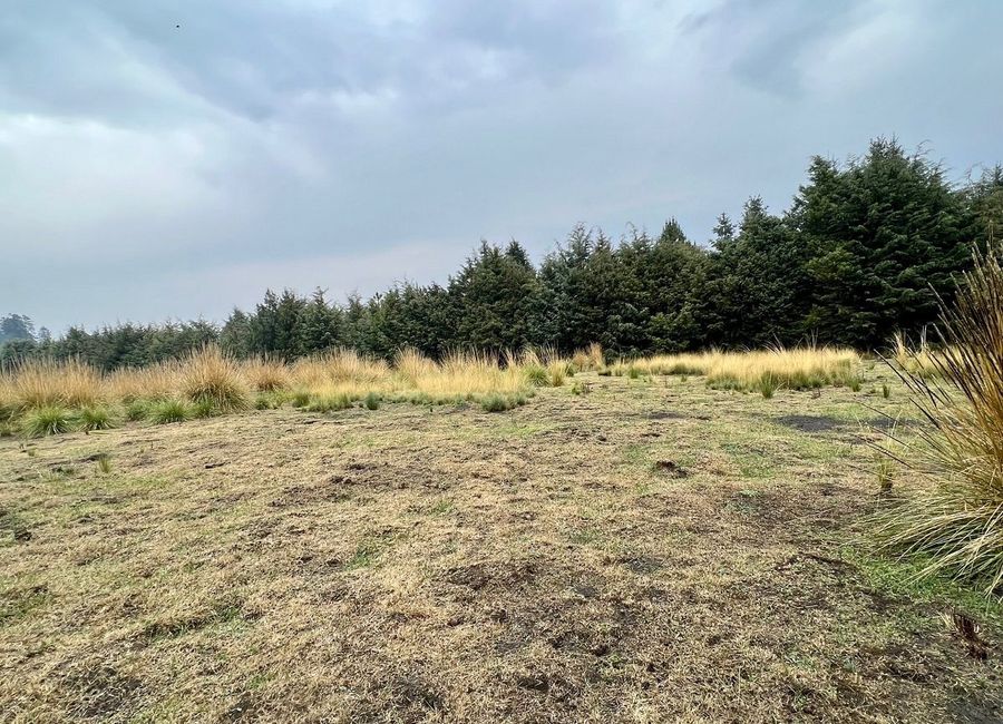 Terreno en Venta a pie de Carretera Circuito Ajusco, Santo Tomás Ajusco