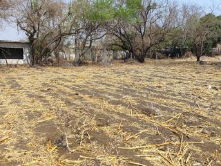 Vendo terreno plano de 400 m2 ubicado en la col. Eterna Primavera,   Santa Ursula, Temixco, Mor.