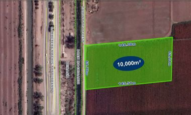 TERRENO 10,000 m2 (1 hectárea) VENTA Carretera Mochis Topolobampo, Ahome, Sinaloa $3’000,000