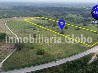 Terreno en venta orilla de carretera 5 hectáreas muy cerca de Palenque Chiapas