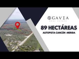 89 Hectárias Autopista Mérida - Cancún