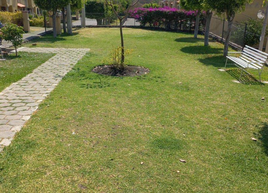 place photo 13