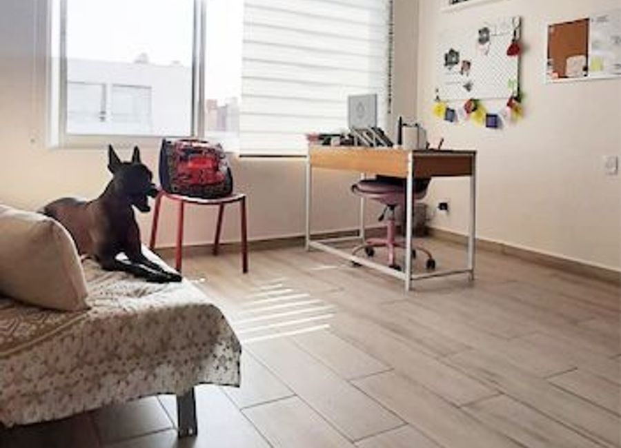 place photo 27