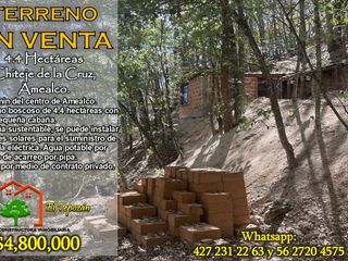 Chiteje de la Cruz, Amealco. Venta de 4.4 hectáreas con una pequeña cabaña sustentable en el bosque.