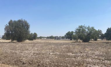 Terrenos en Venta- Ojo de Agua