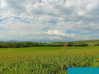 Terreno Agricola En Venta, Cuautla Morelos, México