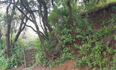 TERRENO DE USO HABITACIONAL