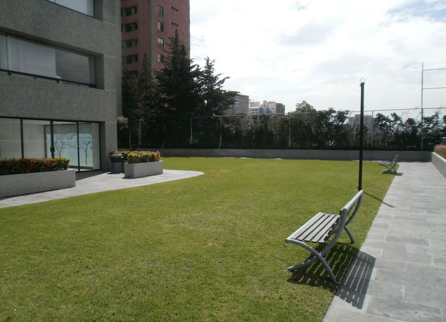 place photo 17