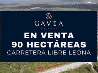 En venta 90 Has. carretera libre Leona Vicario, Quintana Roo