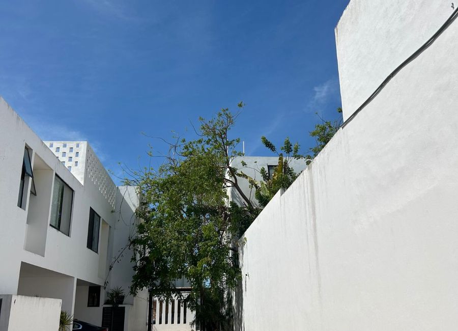 place photo 19