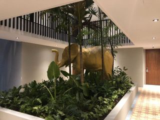 VENTA O RENTA PENTHOUSE AMUEBLADO EXCELENTE UBICACION EN ZAZIL HA