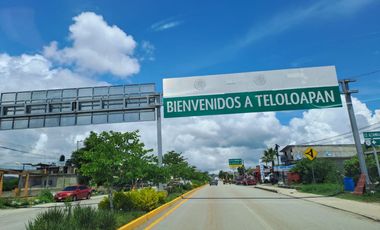 VENTA DE TERRENOS EN EL MUNICIPIO DE TELOLOAPAN, GUERRERO