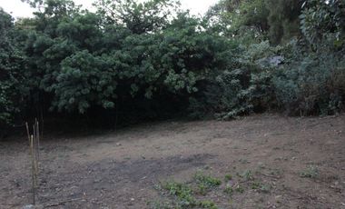 Vendo terreno en pequeña privada ubicado en el Barrio de San Pedro; Tepoztlán, Morelos.