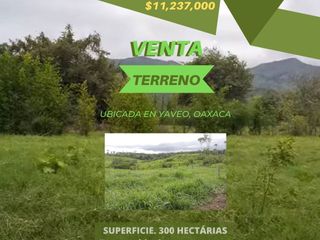 VENTA DE TERRENO EN YAVEO, OAXACA