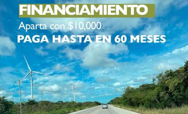 AMURE, LOTES VENTA CARRETERA MERIDA-PROGRESO A 10 MINUTOS PLAYA 60 MSI