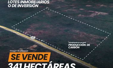 Se Vende Terreno con 341 Hectáreas cerca de Kantunil, Yucatan.