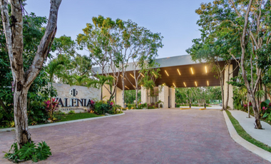 TERRENO EN VENTA VALENIA PLAYA DEL CARMEN