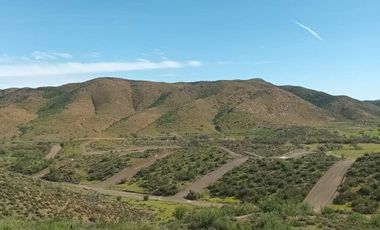 TERRENOS A 10 MINUTOS DE VALLE DE GUADALUPE