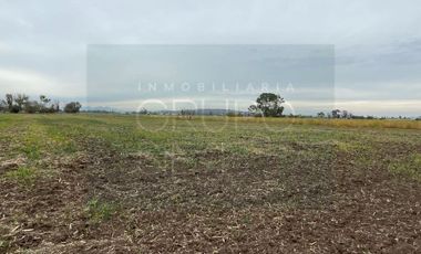 Venta Lote/terreno 1ha San Clemente Pedro Escobedo Querétaro