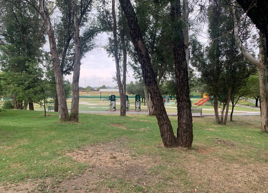 place photo 31