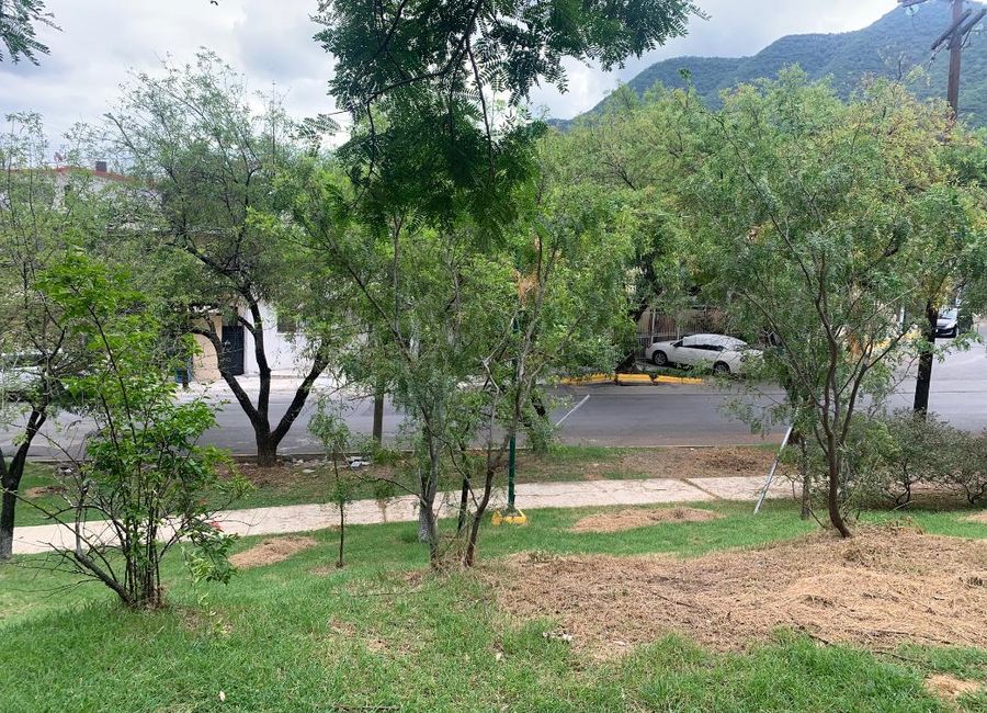 place photo 33
