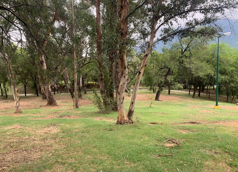 place photo 32