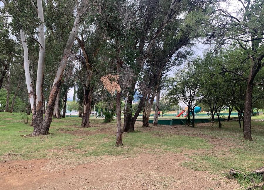 place photo 29