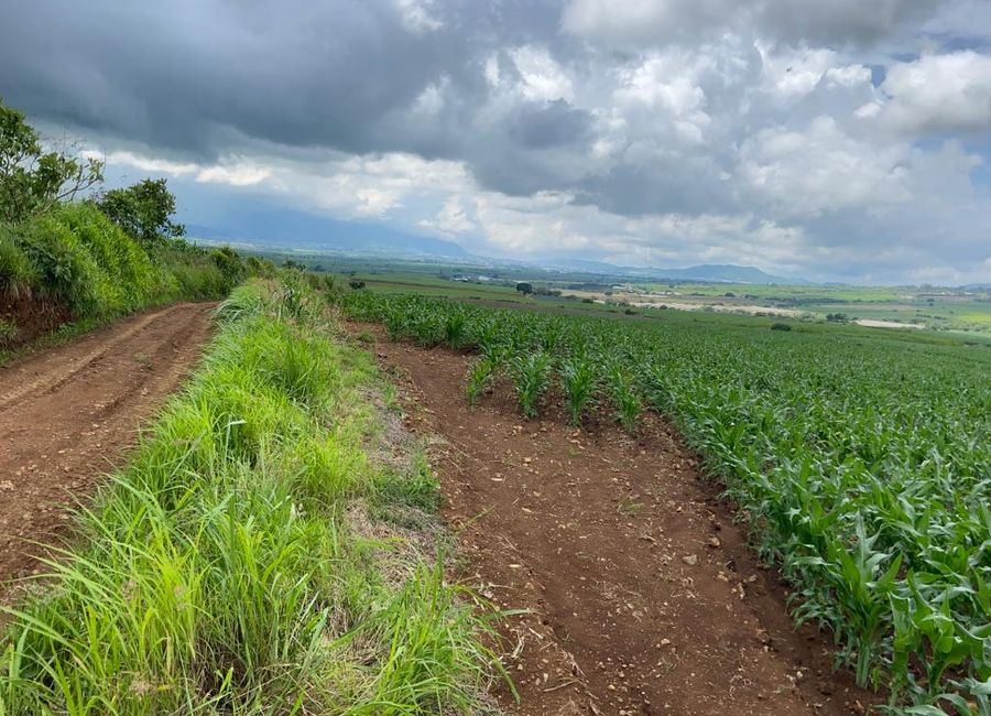 PARCELA DE 7.5 HAS EN EL REFUGIO NAYARIT