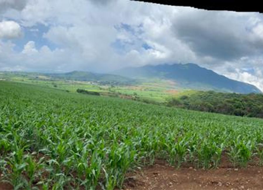 PARCELA DE 7.5 HAS EN EL REFUGIO NAYARIT
