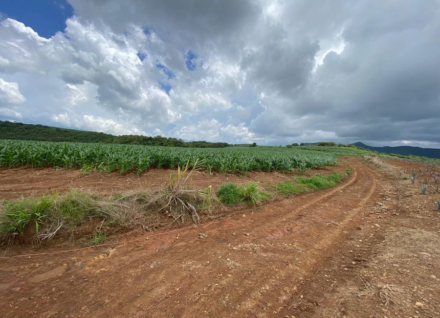 PARCELA DE 7.5 HAS EN EL REFUGIO NAYARIT