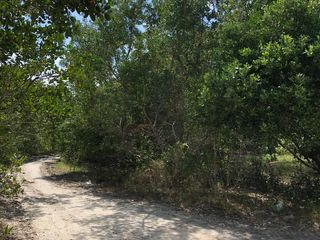 Oportunidad terreno en Holbox, Quintana Roo