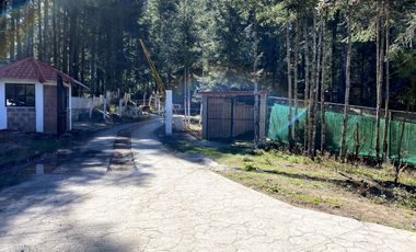 ¡DISFRUTA DE LA VIDA EN EL BOSQUE: MONTE REAL LAS FLORES TE INVITA!