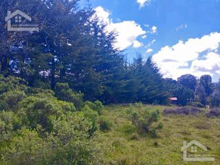 BELLO TERRENO EN MINERAL DEL CHICO ZONA DE CEBADAS, CON VISTAS PANORAMICAS Y TODOS LOS SERVICIOS